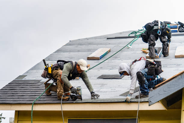 Professional Gutter Installation technician working in Wahoo, NE